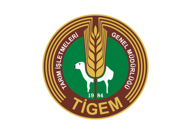 Tigem