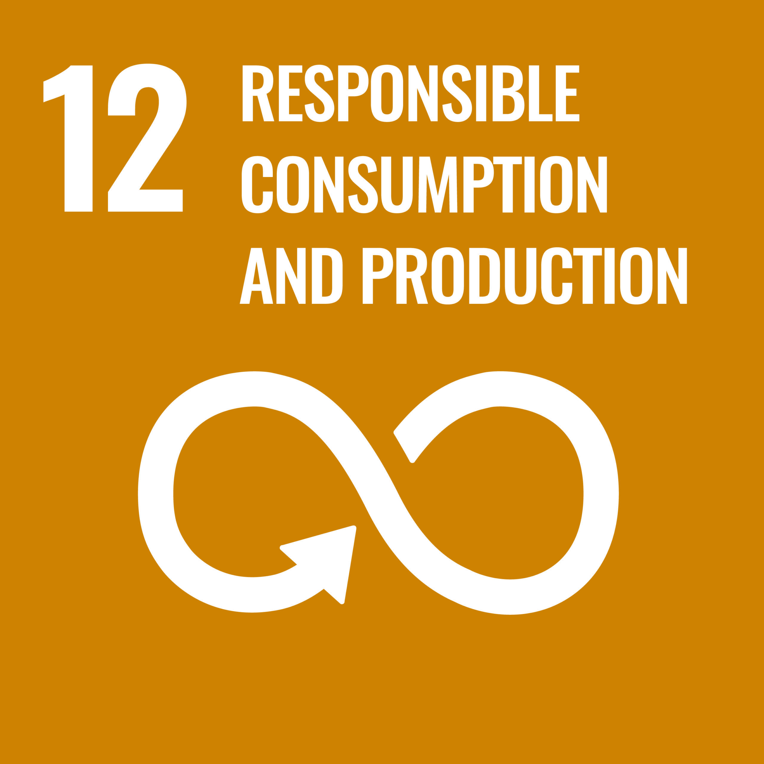 UN Goal 12, responsible consumption