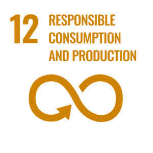 UN sustainable development goal 12: responsible consumption and production
